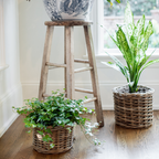 Rattan Planter Baskets